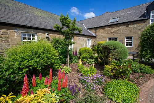 Balgavies Home Farm - Cottage