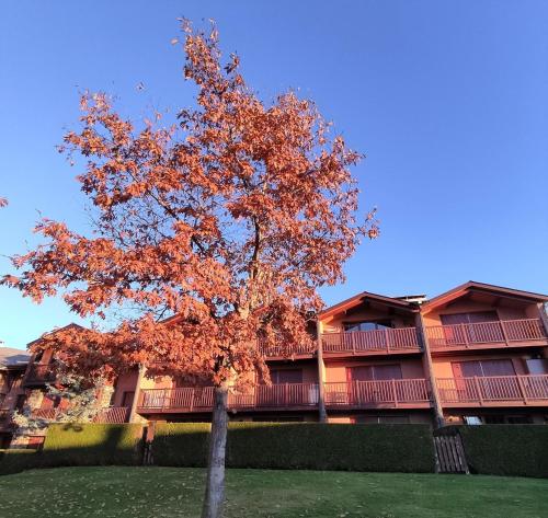 Apartamento con piscina en Santa Leocadia