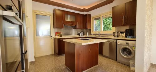 Küche, Villa del Mar in Mazotos