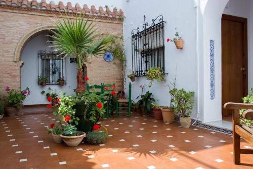 Létesítmények, Hostal Andalucia in Chipiona Városközpont