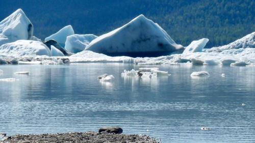 Shangri-La - Near Mendenhall Glacier and Auke Bay -DISCOUNTS ON TOURS!