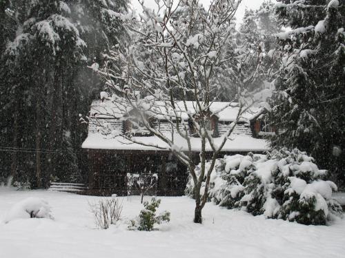 Cedar Song B&B in Parksville, Canada