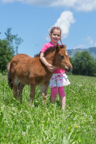 Feriendorf Ponyhof