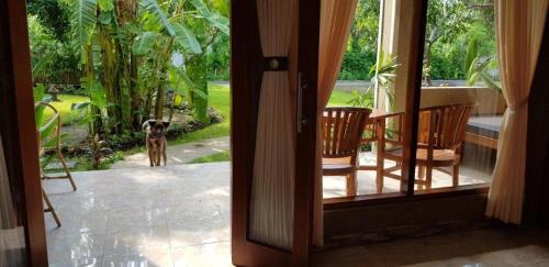 Balcony/terrace, Mango Tree Inn in Pemuteran