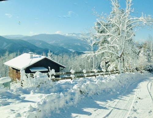 Ferienhaus in Niederösterreich mit 3 Apartments mitten im Wald in Feuchtenbach