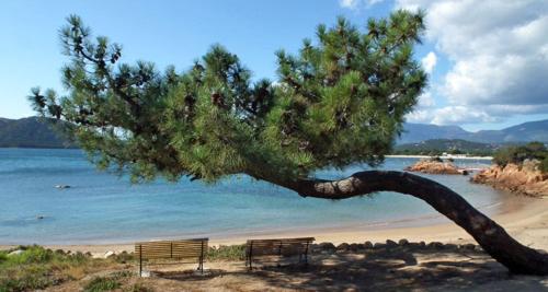 LES VILLAS DE CALA ROSSA