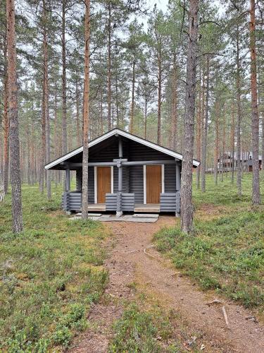 Sarkkila in คาลาโยกิ