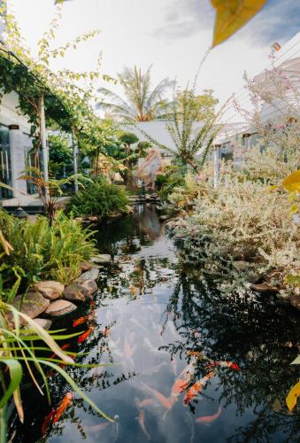 Window Homestay - 전망