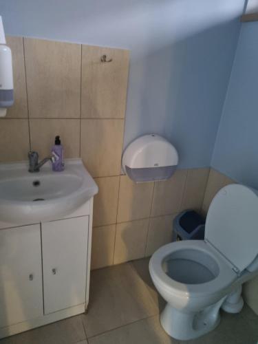 Pakalnės vingis