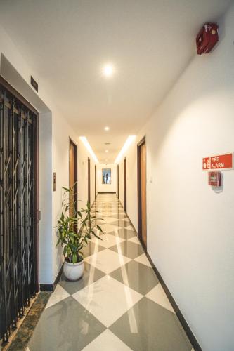 Amber Rooms 5