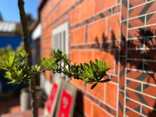 模範人家-包棟-彼岸市區館 模範人家-包棟-彼岸市區館