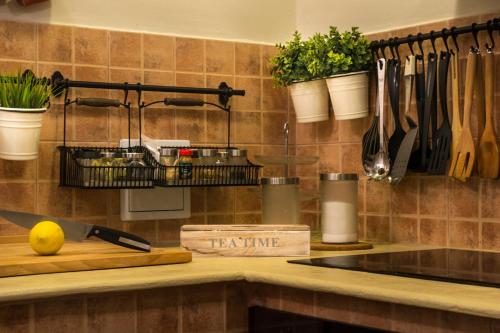 Зовнішній вигляд готелю, Antique Hostel in Бухарест