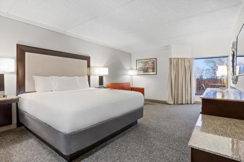 1 king bed, 1 sofa bed