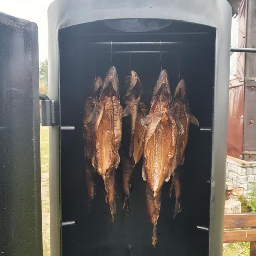 Dom na wynajem Mazury DOM NA WYSOKIM BRZEGU