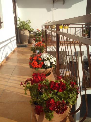 Apartmani Dado - image 8