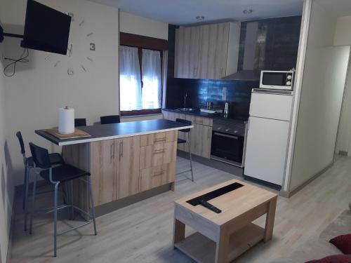  Piso amplio y reformado para grupos, Ferienwohnung in Felechosa