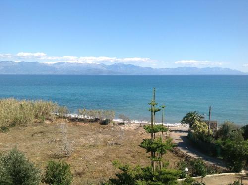 Villa Sofia - image 3