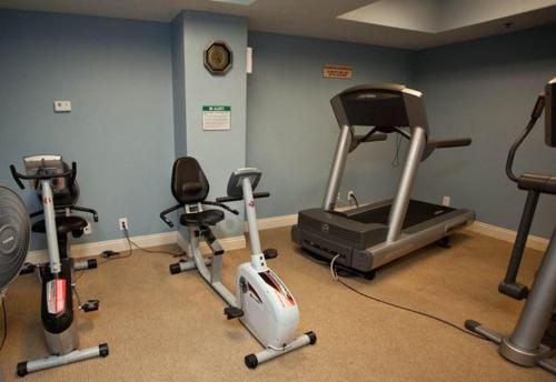Calypso 1006 East - Tower I, 3 Bedrooms, Sleeps 8, Beachfront, Wi-Fi
