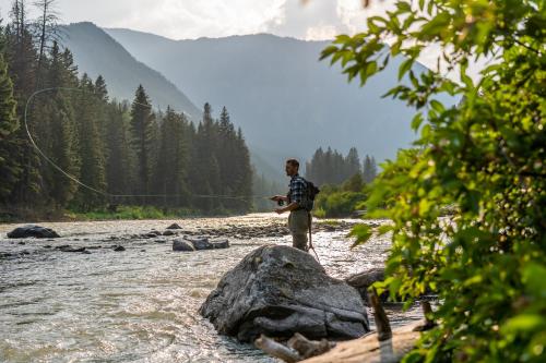 Bear Cub, West Yellowstone (photo 4)