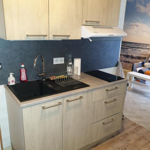 кухня, Appartement studio proche mer 4 pers résidence calme avec parc (Appartement studio proche mer 4 pers residence calme avec parc) in Блонвіль-Сюр-Мер