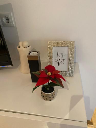 Appartement in Graz-Geidorf