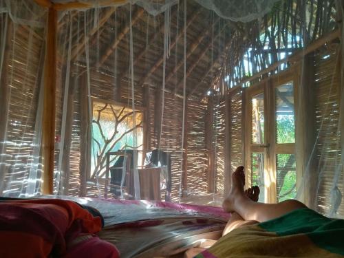 The Alpha Monkey Tree House