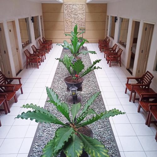 Hotel Flamboyan Room Type - Superior King Room