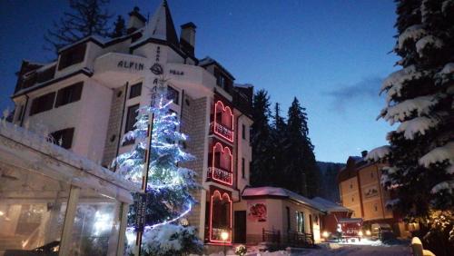 Alpin Borovets, Алпин Боровец