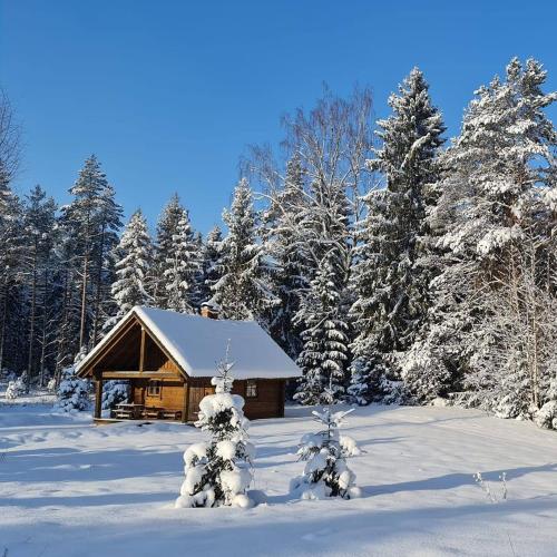 Torvaaugu Holiday Homes in Aegvīdu Vald