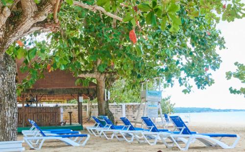 Vista Exterior, The Yellow Bird in Negril