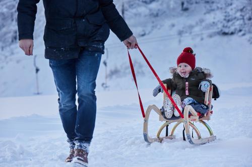 Appartement & Suiten Hotel Glöcknerin - image 2