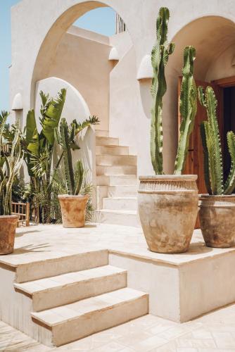 ผับ/เลาจน์, Nomad Hotel - Xábia Port (Nomad Hotel - Xabia Port) in อาดัวนาส