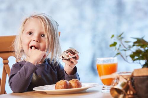 Appartement & Suiten Hotel Glöcknerin - image 4