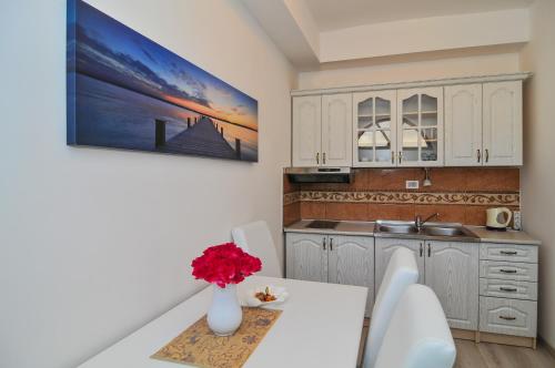 Apartments Stankovic - image 9
