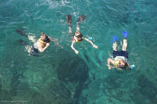 Attractions, Tapiru's House - Bahia Drake in Drake Bay