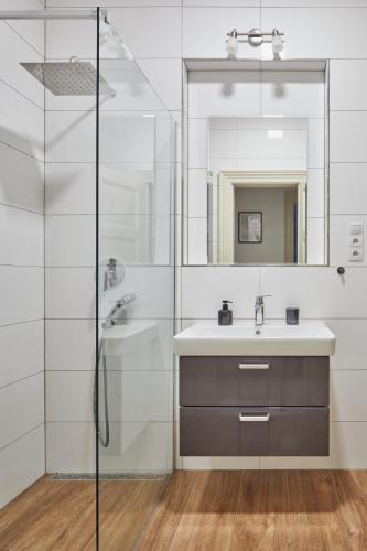 Prague Days - Deluxe Apartments near Wenceslas Square, Praha (fotografie 9)