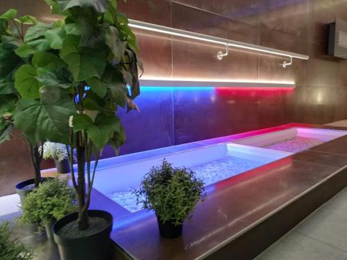 外部景觀, Wellness Hotel Anna Nejdek in 內代克