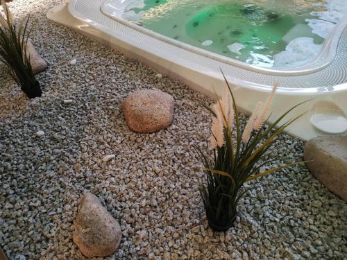 Hotel Anna Nejdek - image 2