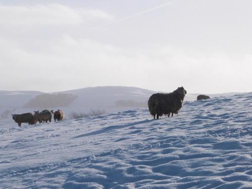 Buitenkant, Apartment 24 in Keighley Central