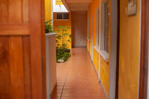 Entrada, Natz Hotel in Flores