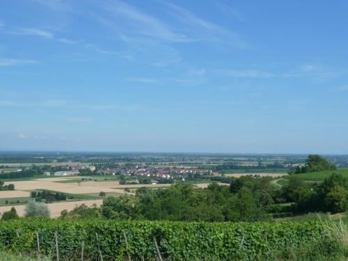 Schwarzwaldturmzimmer Lahr