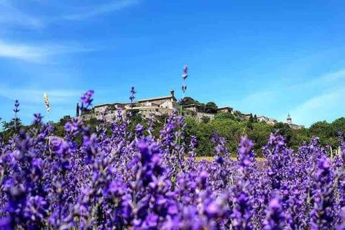 Villa de vacances avec piscine Lussan(proche Uzes)