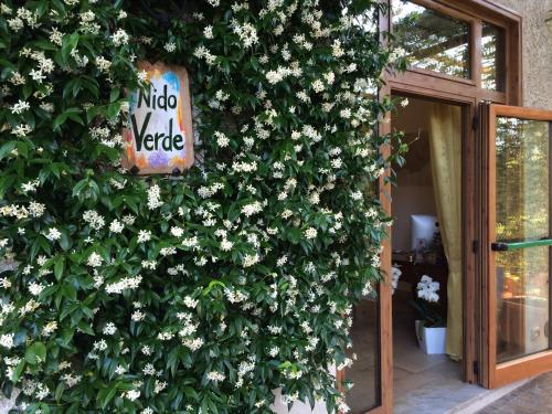 Nido Verde - Hotel - Agerola