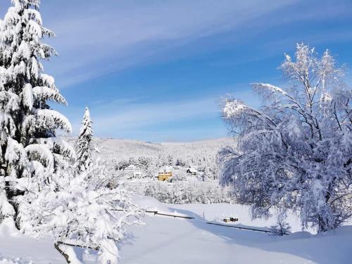 ทัศนียภาพภายนอกโรงแรม, Studio Soleil au Hohwald in เลอโฮห์วาล์ด