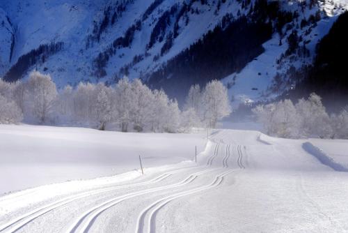 Hotel Grimsel - image 13