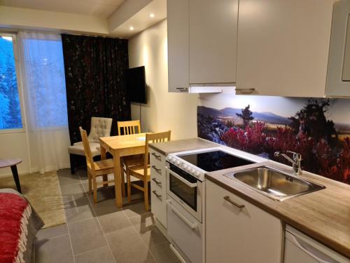 LeviBooking Lost in Levi apt 305 in Levi