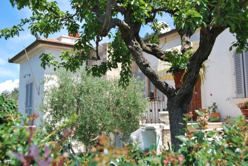 Bed and Breakfast Il Cappero 3
