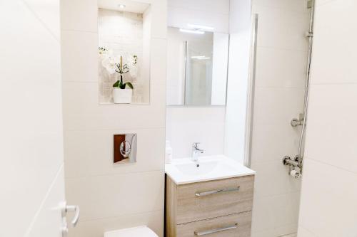 Apartment with Mountain View image 10