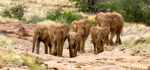 格鲁特贝格山林小屋 格鲁特贝格山林小屋