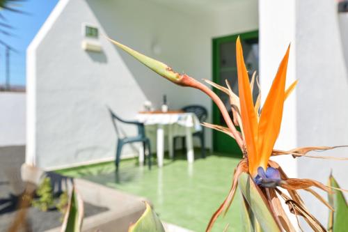  Las Mimosas. Bajo con Wifi. Piscinas comunitarias in Tías